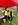 Litter Pick May 2026